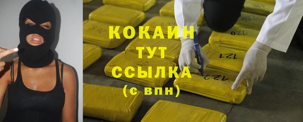 apvp Алексин