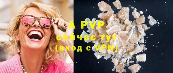 apvp Алексин