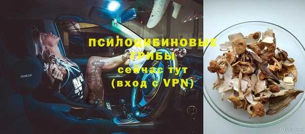 амф Алзамай